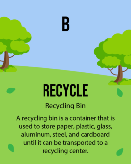 Ecology Bingo Game